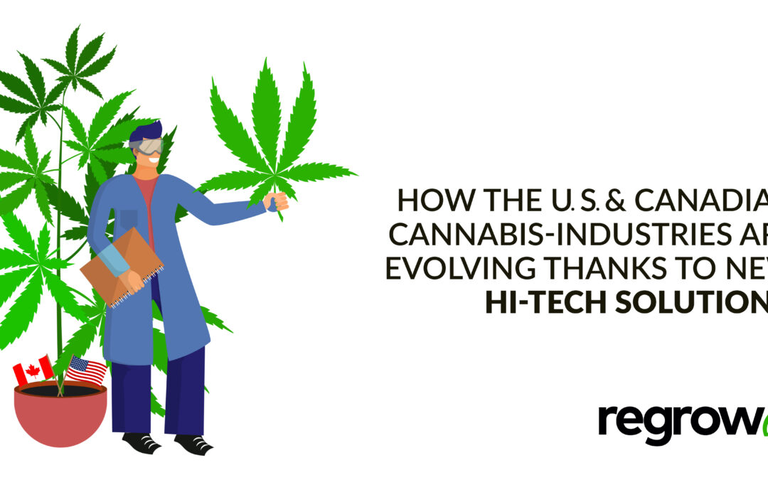 How the U.S. & Canada Cannabis Industries are Evolving Thanks to New Hi-Tech Solutions